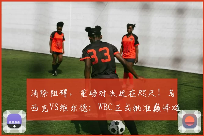 消除阻碍，重磅对决近在咫尺！乌西克VS维尔德：WBC正式批准巅峰碰撞