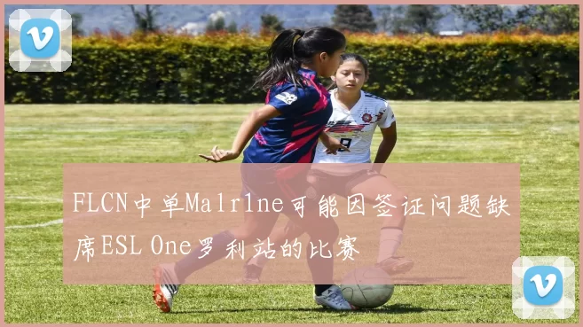 FLCN中单Malr1ne可能因签证问题缺席ESL One罗利站的比赛