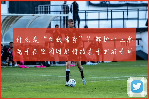 什么是“自我博弈”？解析十三水高手在空闲时进行的左手打右手训练。（十三水高手闲暇如何自我博弈？揭示“左手打右手”训练法）