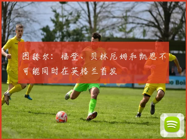 图赫尔：福登、贝林厄姆和凯恩不可能同时在英格兰首发