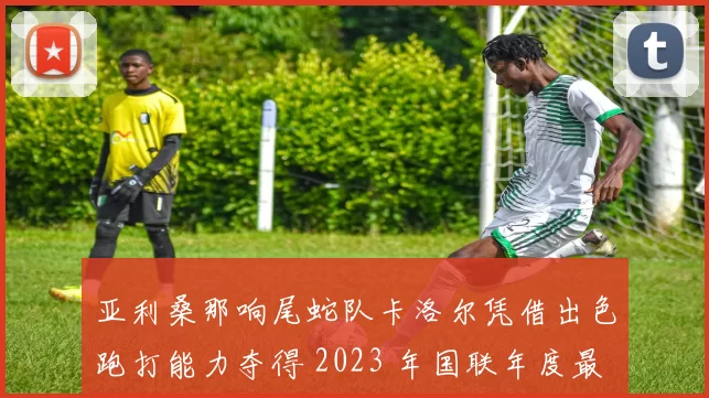 亚利桑那响尾蛇队卡洛尔凭借出色跑打能力夺得 2023 年国联年度最佳新人