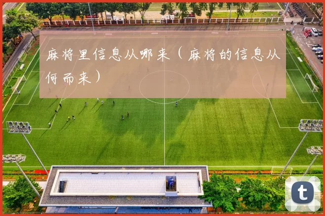 麻将里信息从哪来（麻将的信息从何而来）