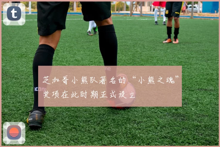 芝加哥小熊队著名的“小熊之魂”奖项在此时期正式设立